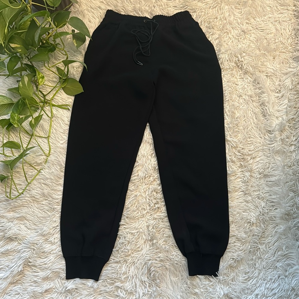 Wilfred size small black pants